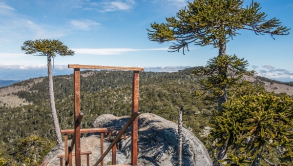 De cordillera a mar, conoce los atractivos que consolidan la oferta turística de La Araucanía